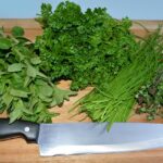 Erbe aromatiche fresche in un barattolo di vetro, pronte per la conservazione secondo i trucchi della nonna.